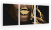 Paneles de imágenes Golden Lips (DA0700)