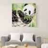 Lindo panda (CDC0171)