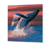 Tančící velryba (SC0844)